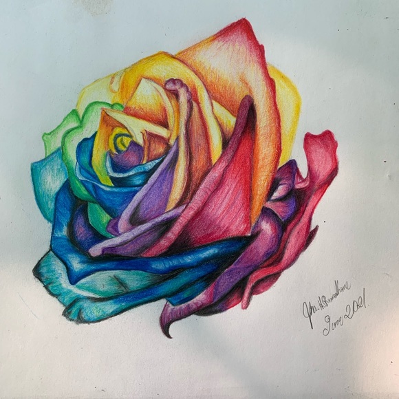 Rainbow rose pencil drawing "original" - Picture 1 of 2